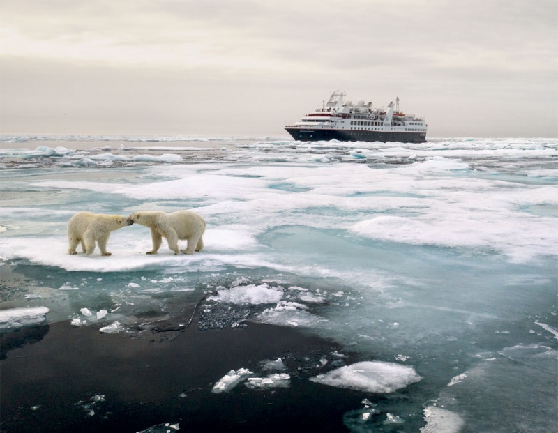 polar_bears_nepassage-fill-800x621