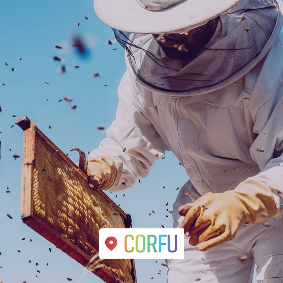 FB_IMG_1580305053504