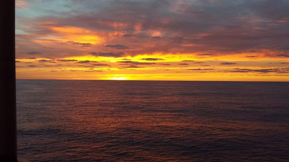 FB_IMG_1578759545034